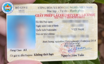  Chia sẻ cách đổi bằng lái xe online nhanh gọn, gửi bằng lái về tận nhà mới nhất 2024