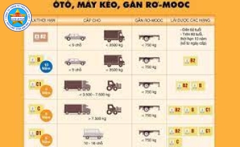  Mẹo học lý thuyết 600 CÂU về  Phân hạng GPLX và độ tuổi