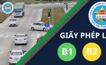 Nhiều người thi trượt bằng lái, vì sao?